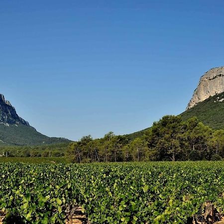 Gite Du Pic Saint Loup Valflaunes Extérieur photo