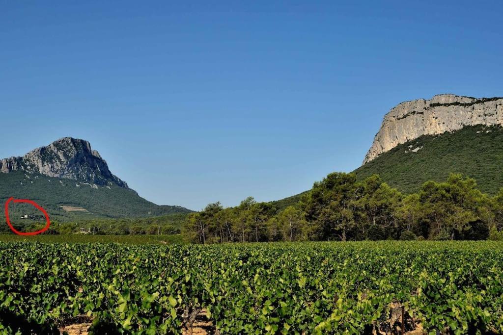 Gite Du Pic Saint Loup Valflaunes Extérieur photo